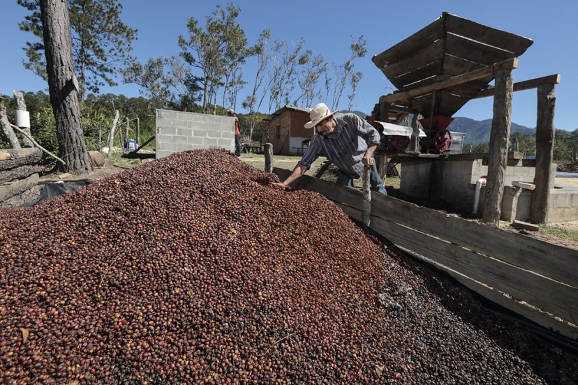 5 Days in Colombia: Essence of Coffee Land: Culture, Nature & Flavor in Quindío 4