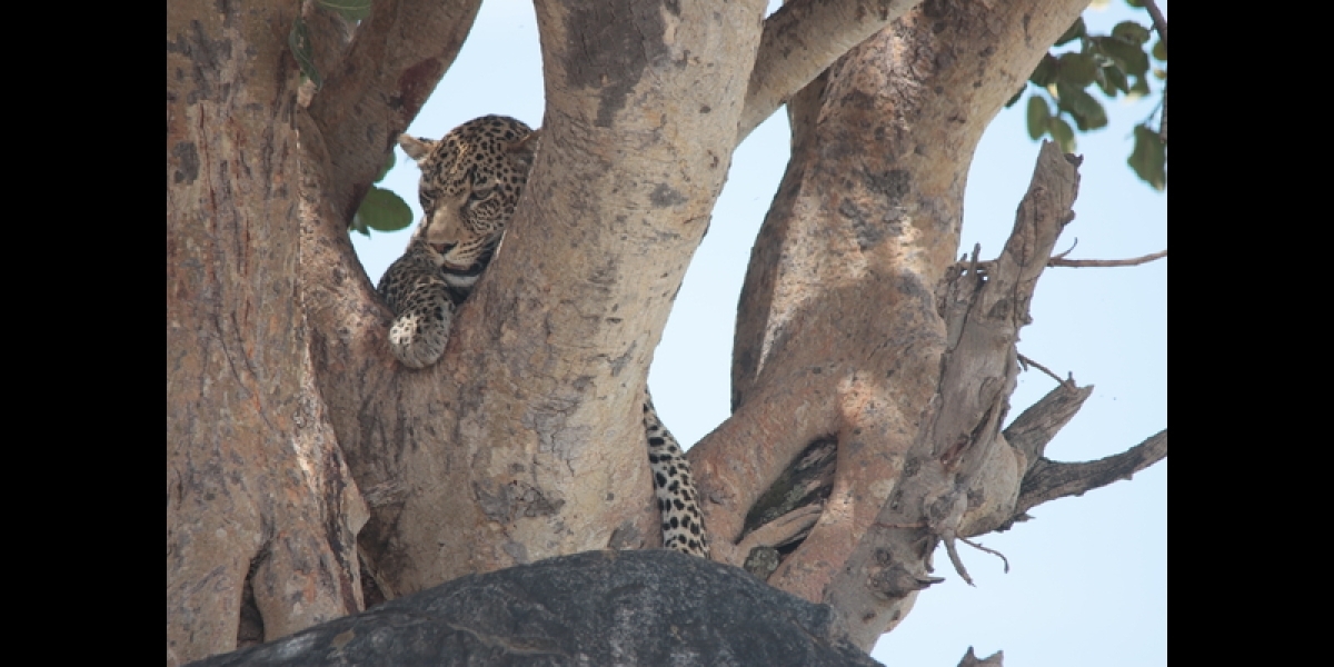 8 Days of Romance: Beach & Safari in Tanzania 1