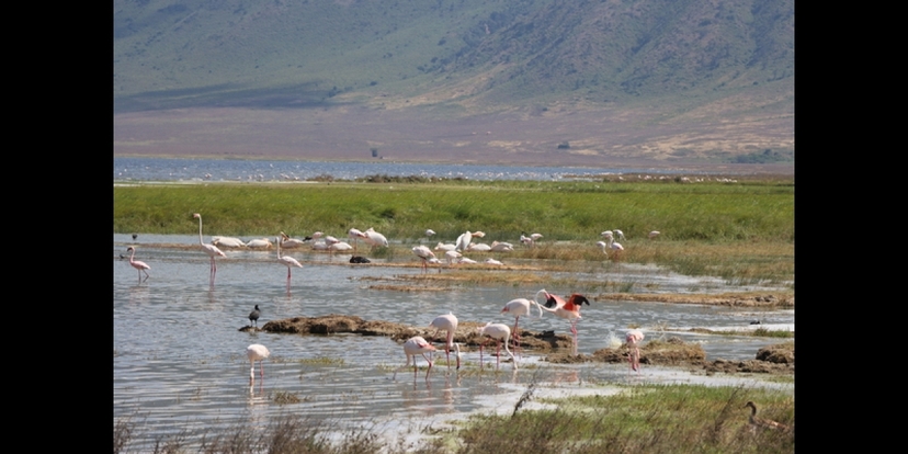 8 Days of Romance: Beach & Safari in Tanzania 4