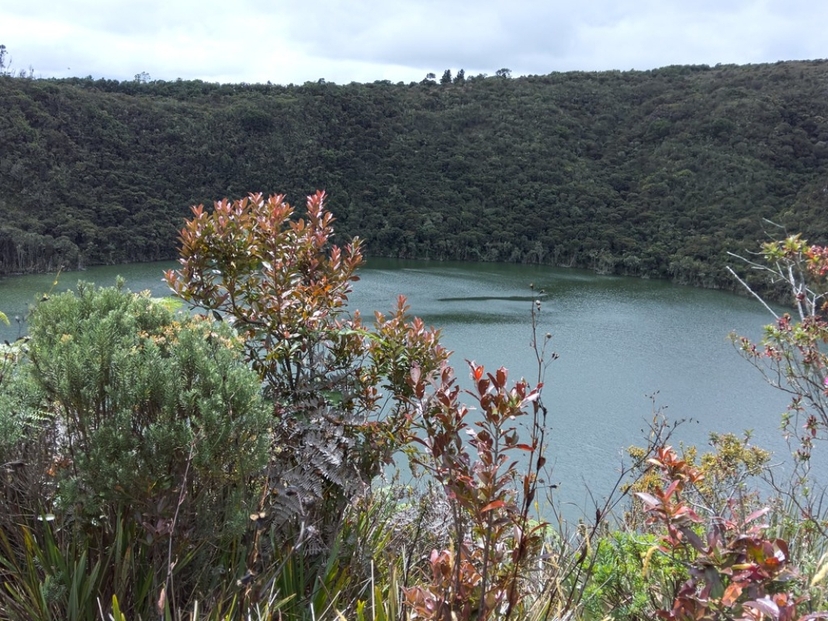 5 Days Colombia – Bogotá Highlights Tour 4