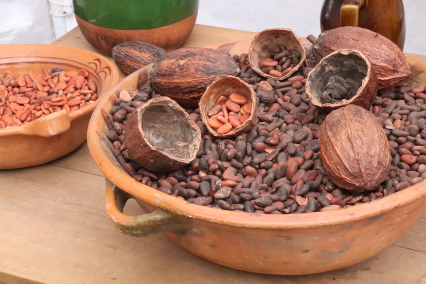 8 Days Colombia: A Cacao and Coffee Escape 3