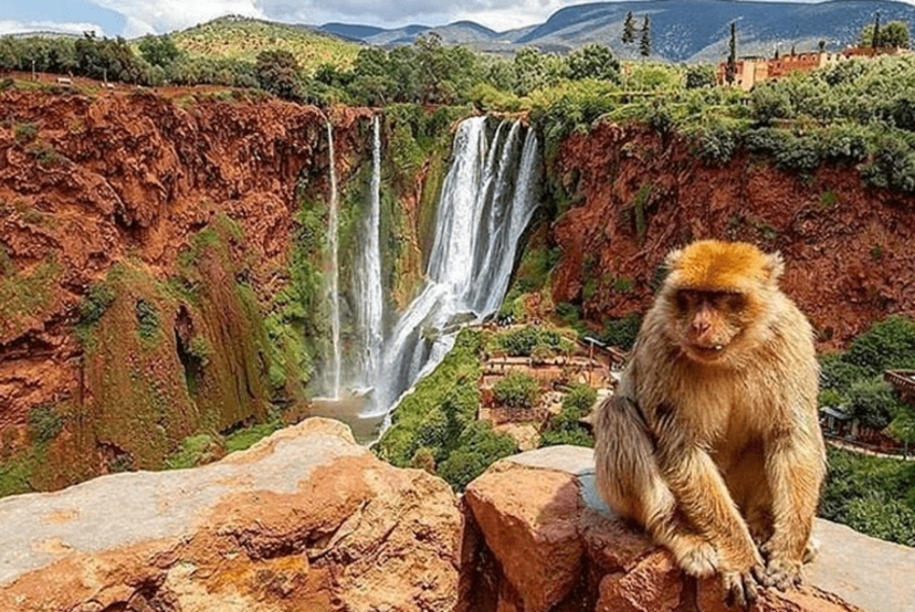 Small group Ouzoud Waterfall Guided Tour Boat Ride from Marrakech 3
