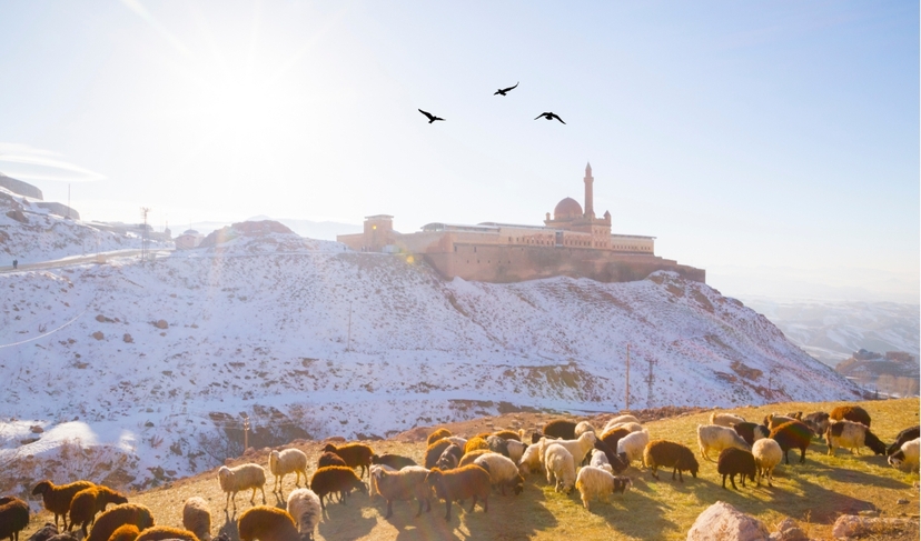 Black Sea Region and Eastern Turkey 13 days Tour 3