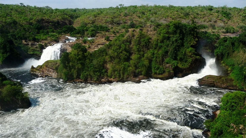 3 Day Murchsion Fall Safari 2