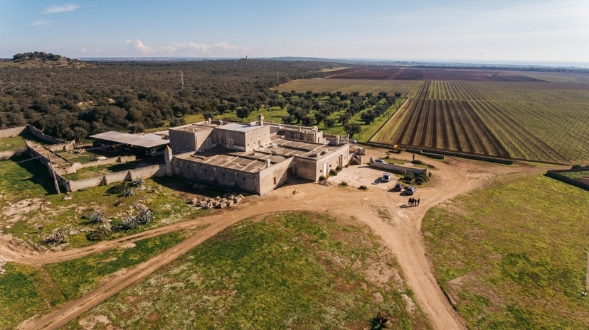 Taranto & Manduria Wine Experience from Lecce 3