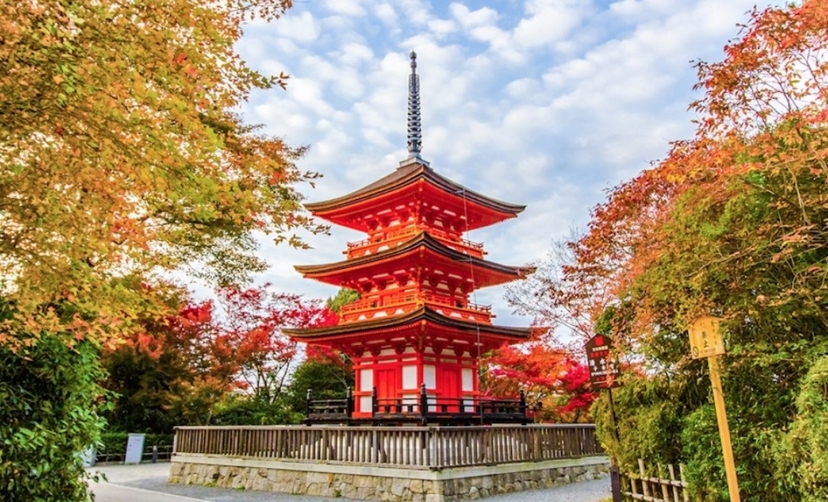 Kyoto Heritage Tour: Arashiyama, Fushimi Inari & Kiyomizu-dera on Luxury Coach 3