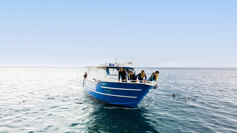 Kangaroo Island Adventure Tour 4