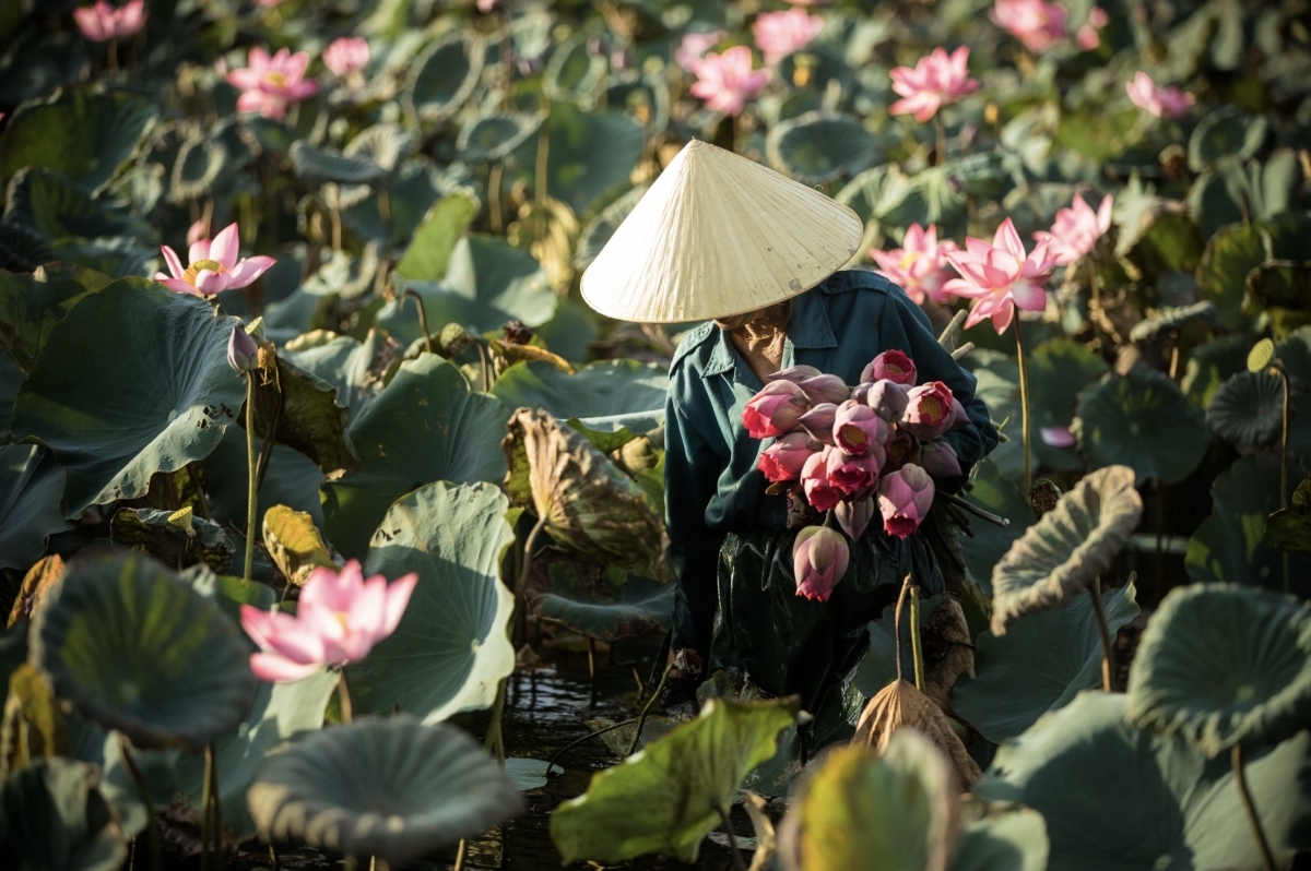 ITA Travel - Vietnam 12D/11N : Honeymoon in Vietnam 1