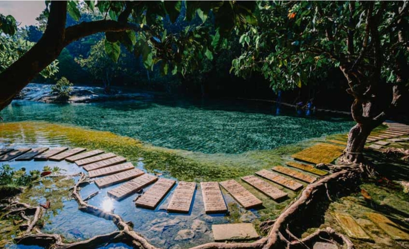 One Day Jungle Tour (Emerald Pool+Hot Spring Waterfall+Tiger Temple) 2