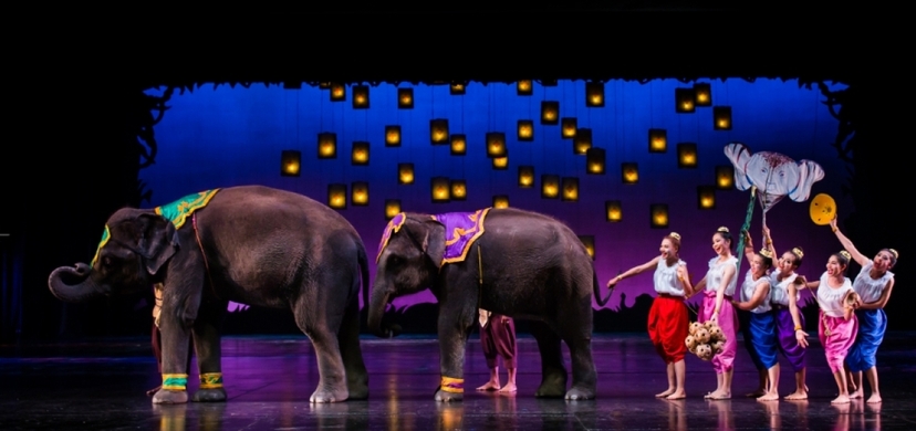 Phuket Fantasea show with Dinner 2