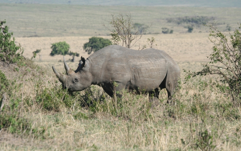 5 Days Masai Mara, Nakuru & Naivasha Safari with Hell’s Gate Adventure 3