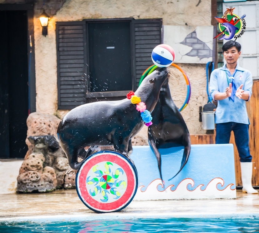 Safari World + Marine Park with Lunch 3