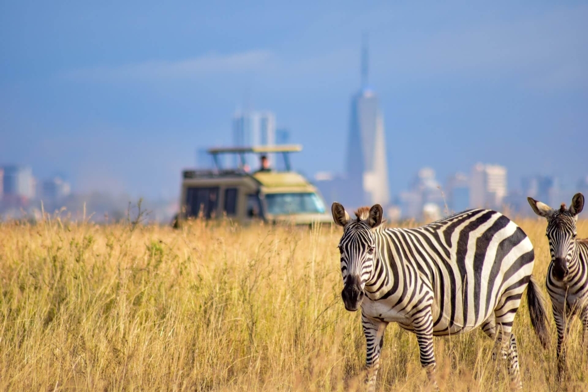 Nairobi City Safari & Fun Adventure Extravaganza 1