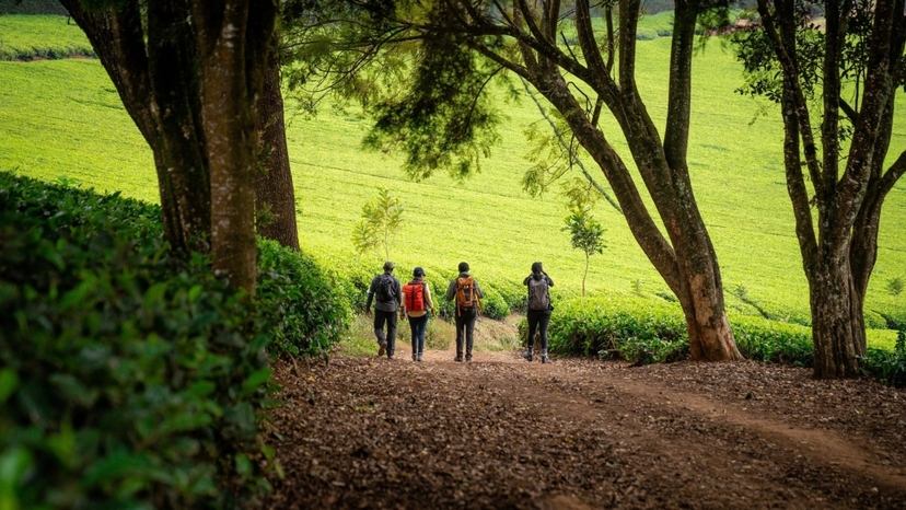 Nairobi City Safari & Fun Adventure Extravaganza 2