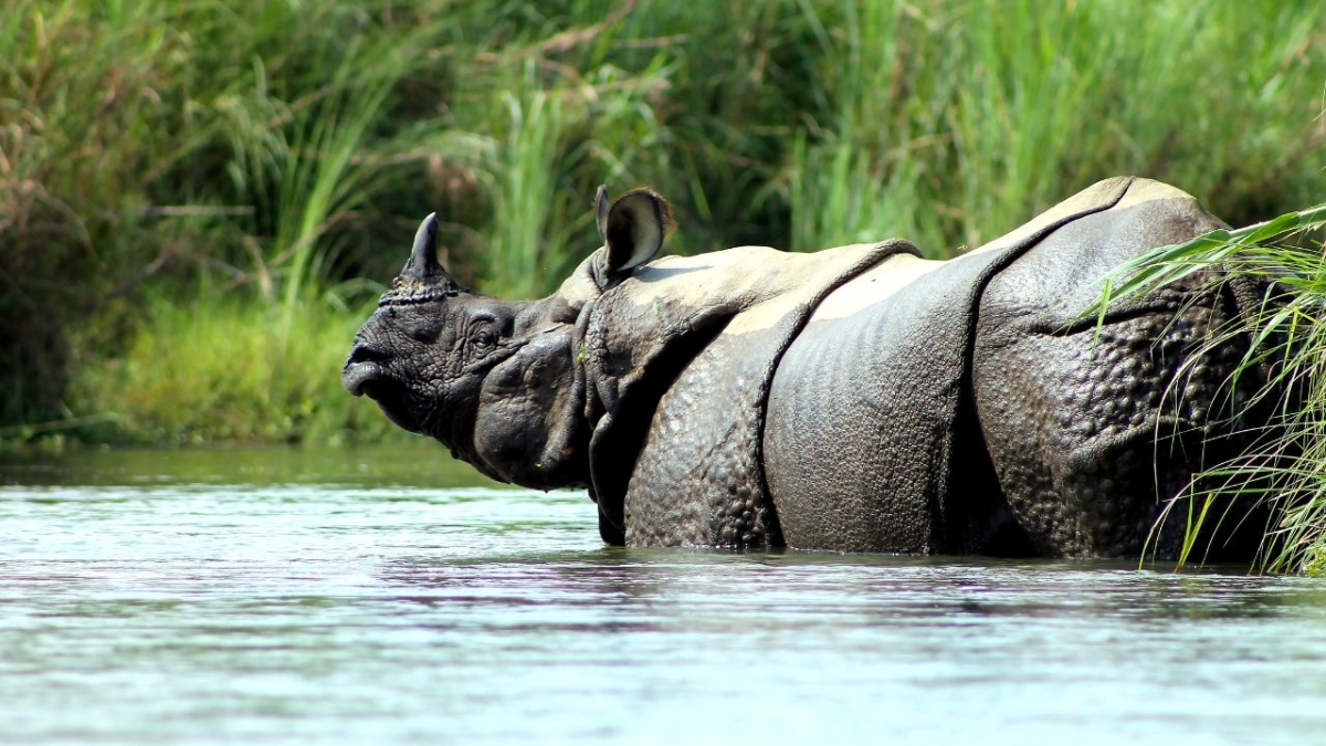Chitwan National Park Tour 5 Days 1