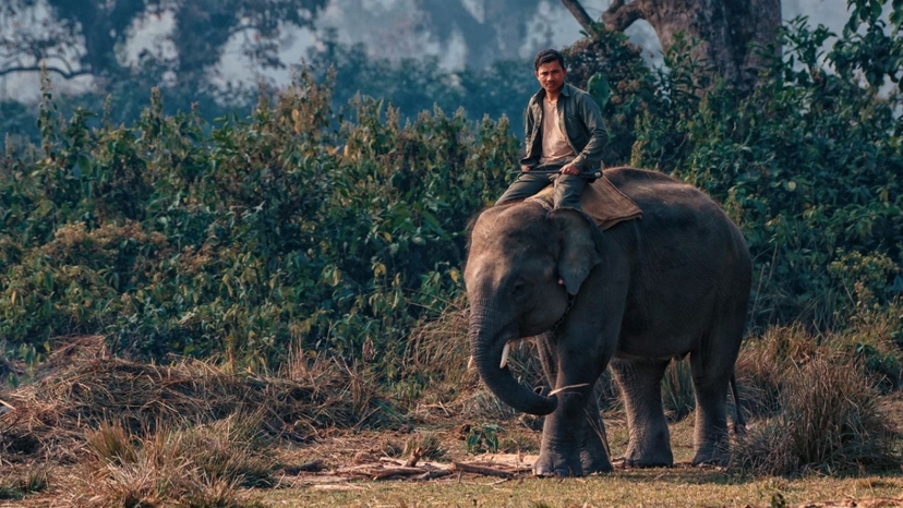 Chitwan National Park Tour 5 Days 2