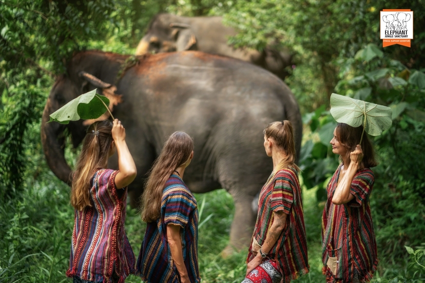 Elephant Jungle Sanctuary Phuket - Walk with elephant 4