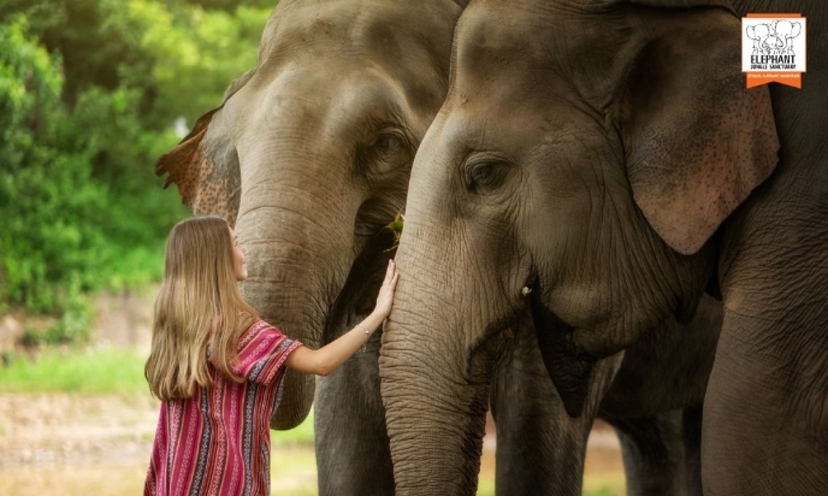 Elephant Jungle Sanctuary Chiang Mai - Half day tour 4