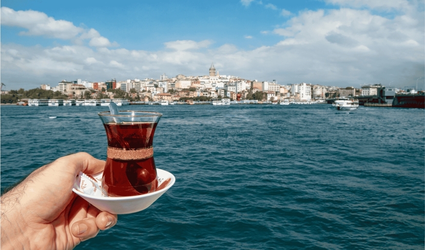 Private Istanbul Layover Tour from Istanbul Airports 2