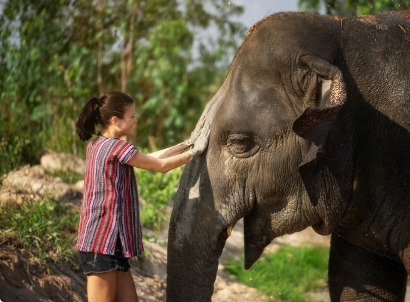 Elephant Jungle Sanctuary Pattaya - Half day tour 4