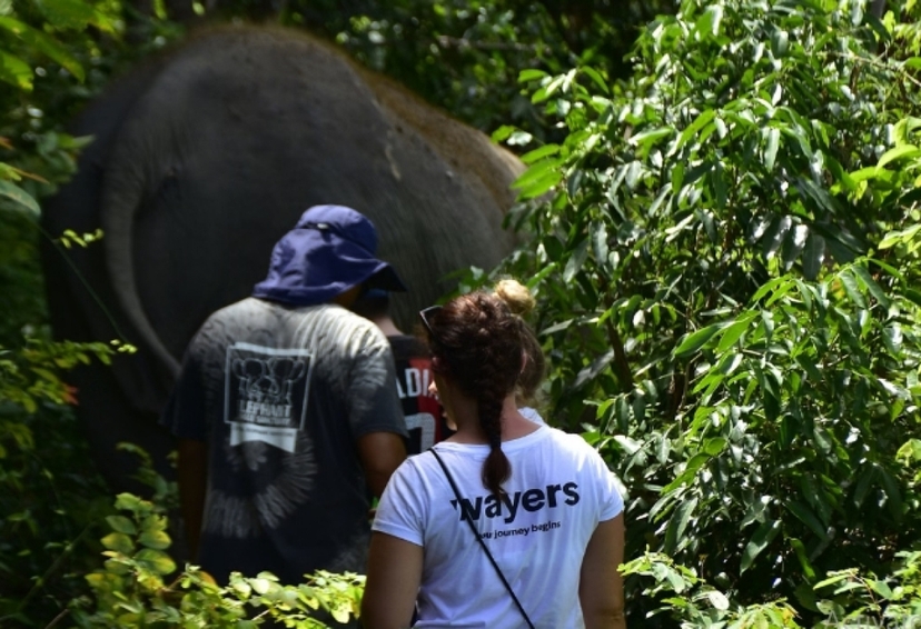 One day walk with Elephant Sanctuary Samui 4