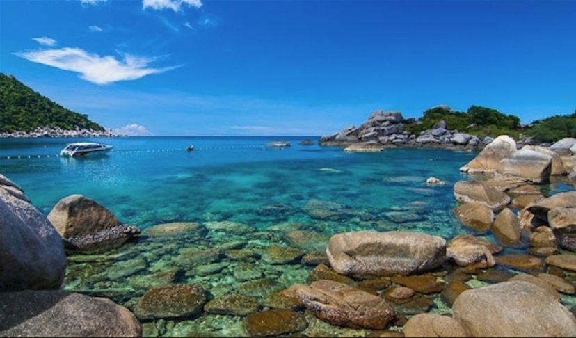 Koh Tao & Koh Nangyuan Day Trip by speedboat (from Samui) 2
