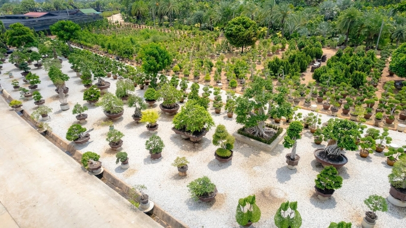 Nong Nooch Tropical Garden Pattaya (Admission fee + Sightseeing bus + Show) 3