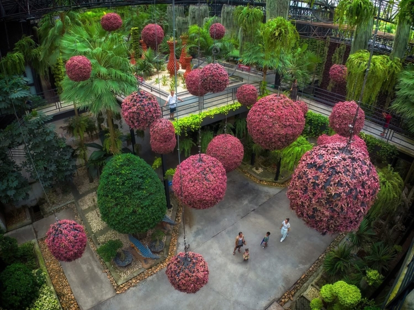 Nong Nooch Tropical Garden Pattaya (Admission fee + Sightseeing bus + Show + Lunch) 3