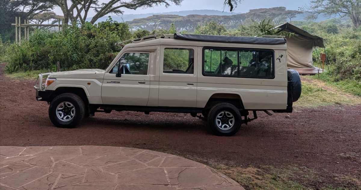 7 Days Safari 2