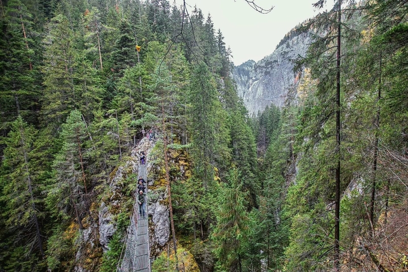 3 Day Adventure Tour Bear Watching, Bicaz Gorge & Red Lake 4
