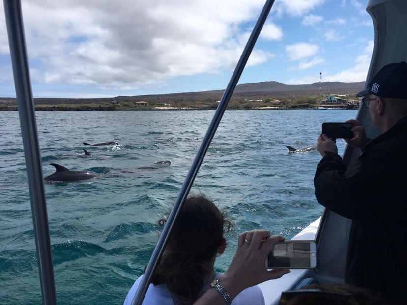 7 Days – Galapagos Loop: Immersive Experience 4
