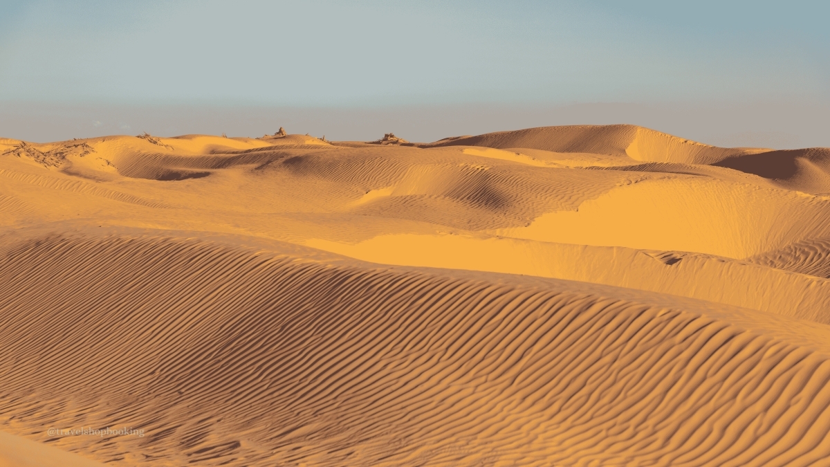 4-Day Southern Tunisia Circuit: Douz – Tozeur 2