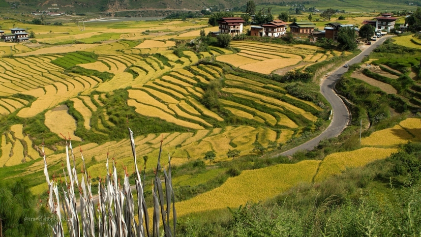 Holiday Experience to Bhutan 6 Day Tour 3
