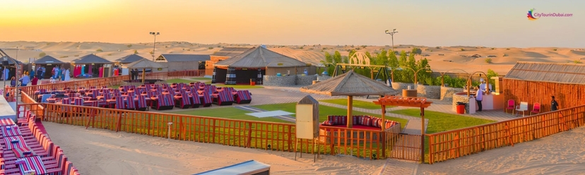 Dubai : Red Dune Safari, BBQ VIP Dinner, Camel & Traditional Show 4