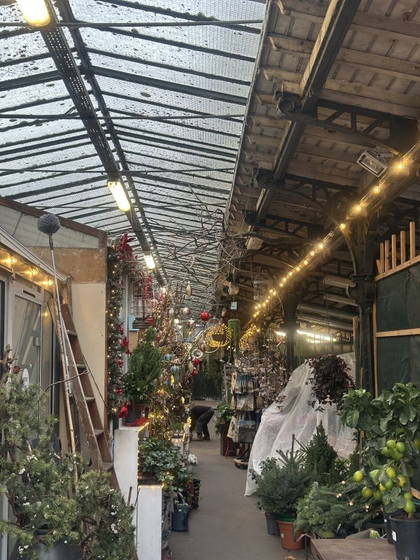 Paris Christmas Walk: Markets & Lights (Private) 4