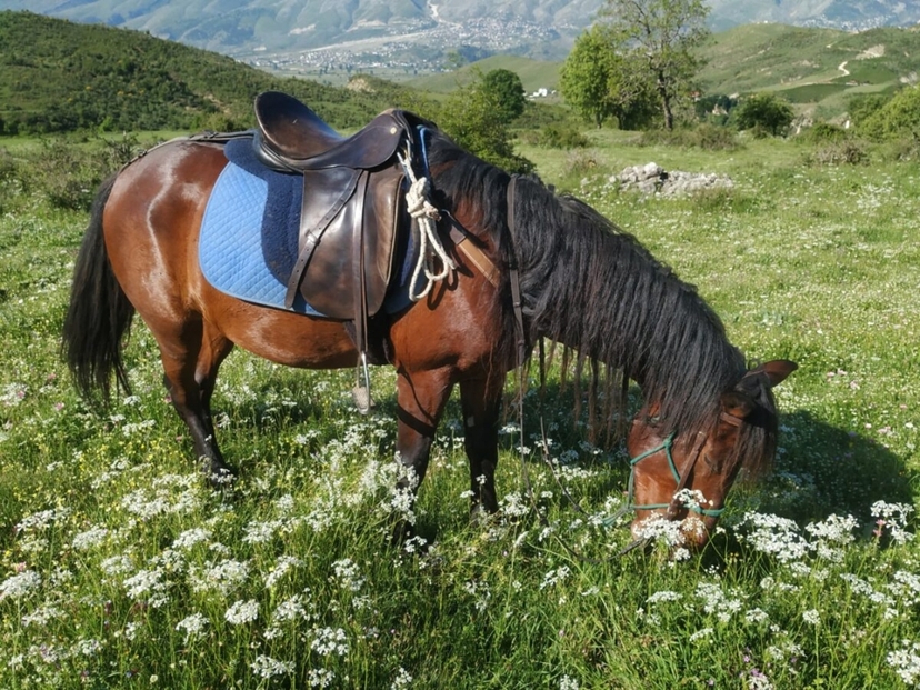 Horse Riding Bundle in Gjirokaster 3