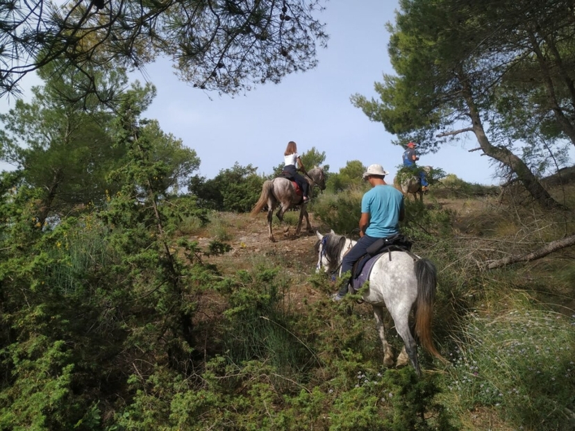 Horse Riding Bundle in Gjirokaster 4