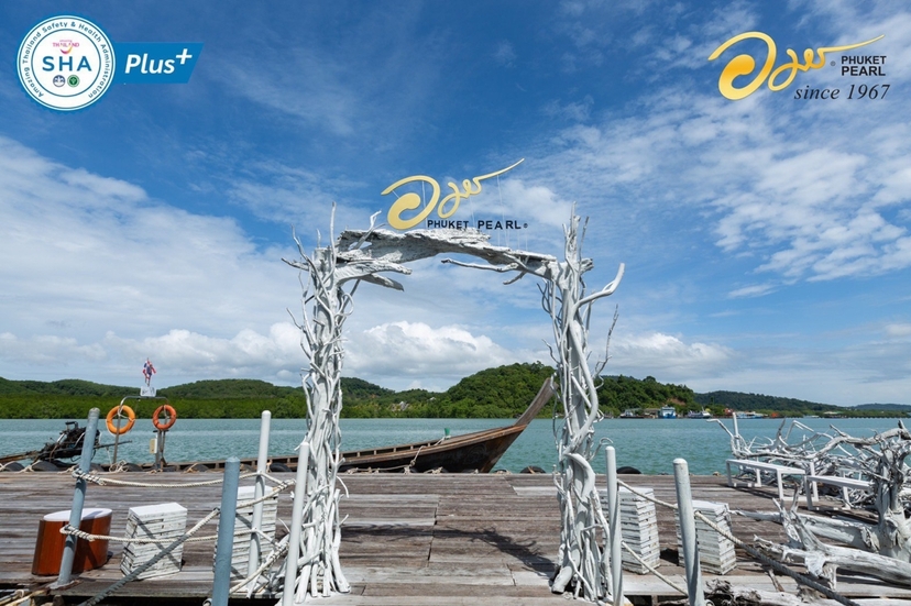 Phuket City tour & Pearl Farm (Private) 2