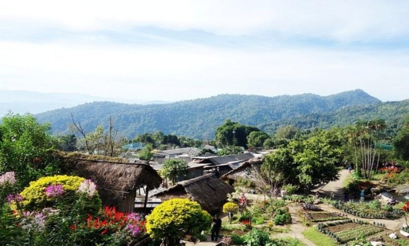 Chiang Mai:Half Day Tour to Doi Suthep Temple-Doi Pui-Meo Village 4