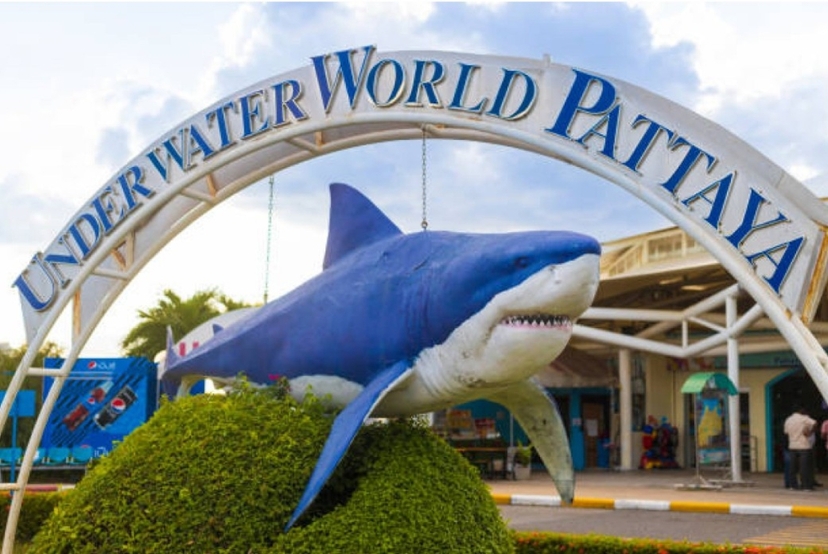 Only Ticket Entrance Fee Underwater World Pattaya 4