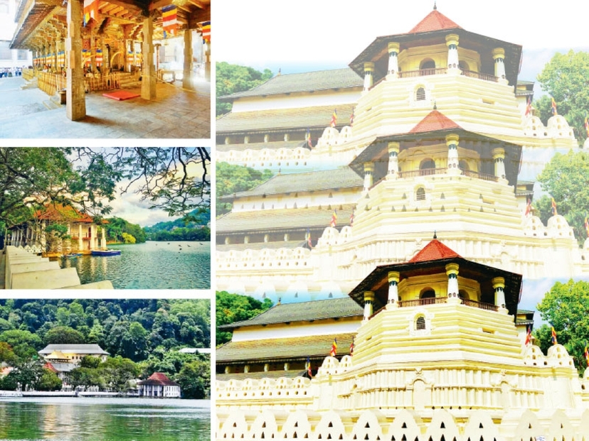 Buddhist-Focused & Serene 3