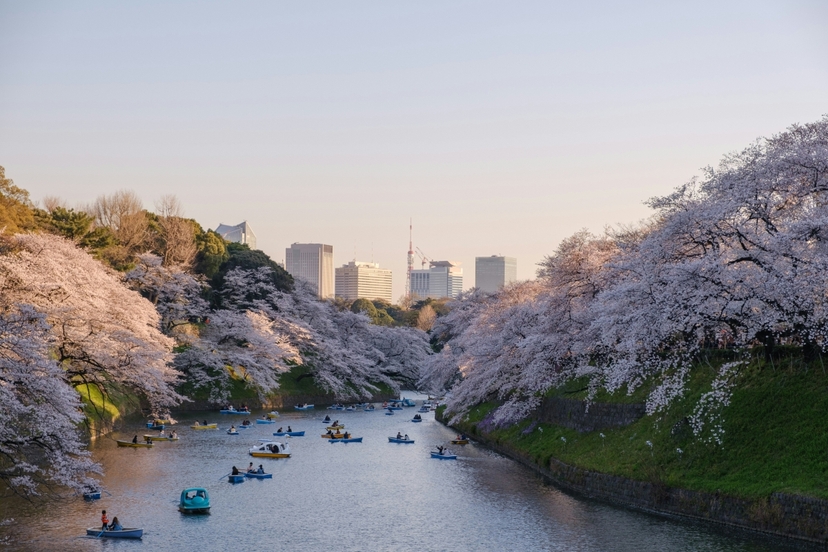Japan Tour 2
