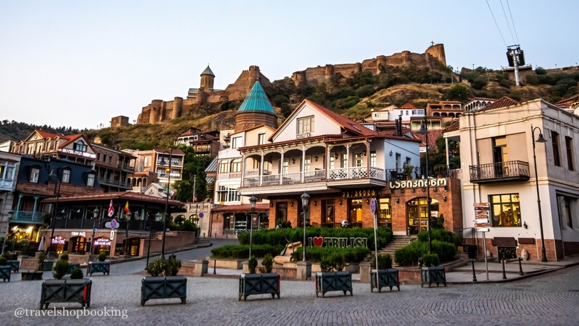 Best Tbilisi Half Day City Tour with Cable Car Ride 4