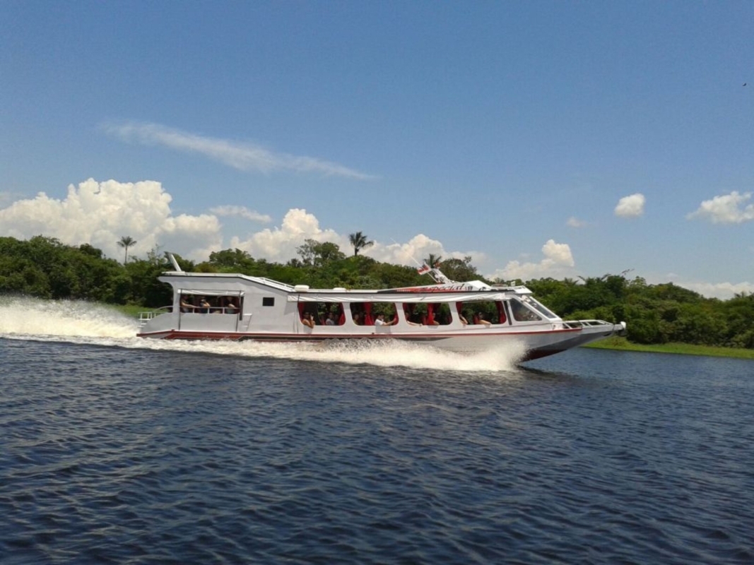 Tour Safari Amazônico em Manaus (Compartilhado) 1