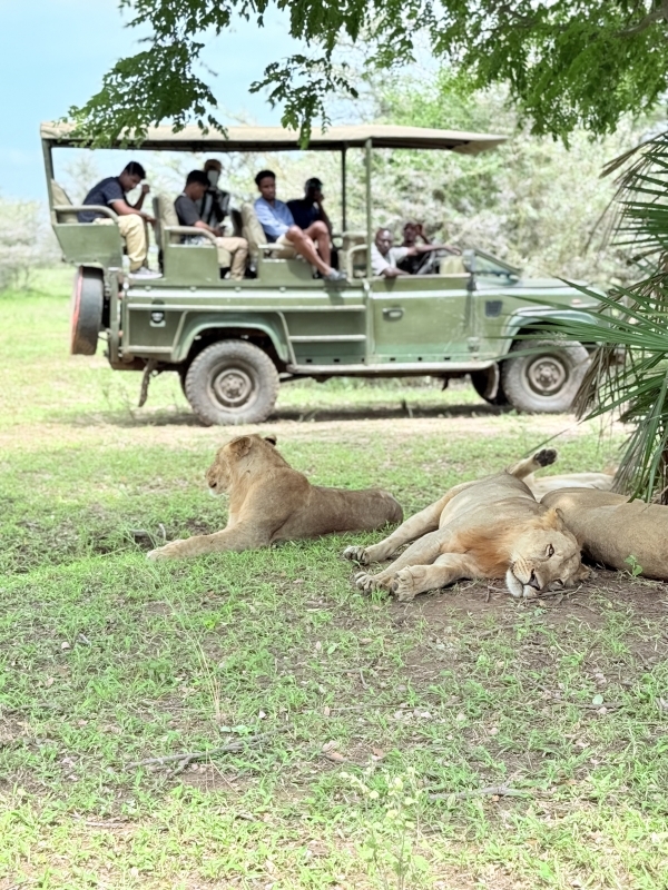 The perfect 2 Days Safari Selous G.R/Nyerere National Park 2