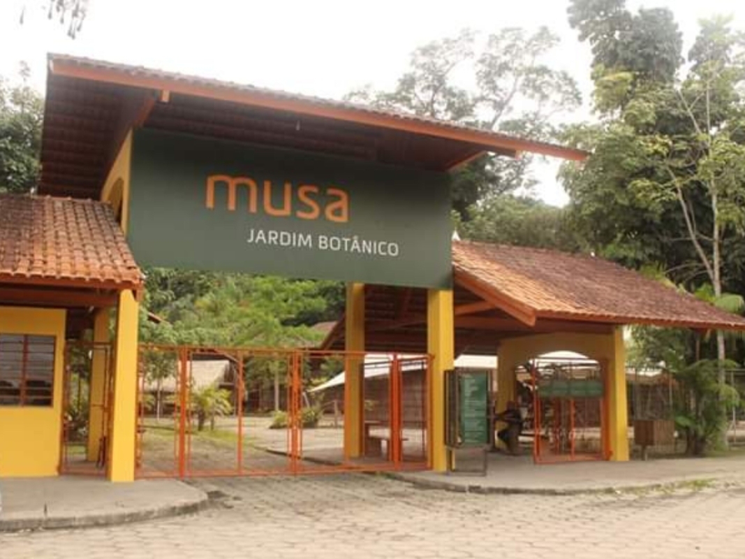 Tour no MUSA – Museu da Amazônia em Manaus 1