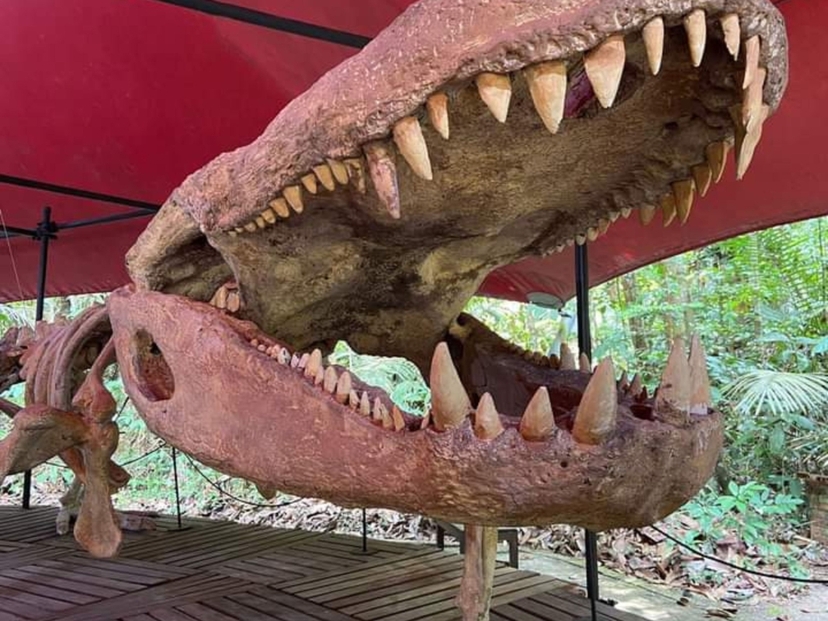 Tour no MUSA – Museu da Amazônia em Manaus 2