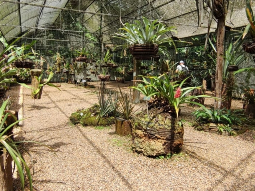 Tour no MUSA – Museu da Amazônia em Manaus 3