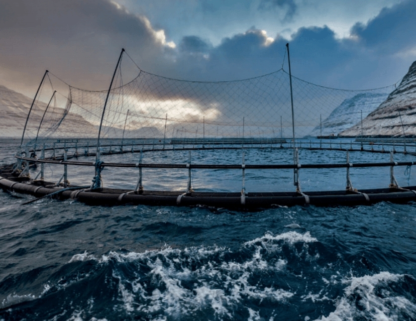 Faroe islands 2