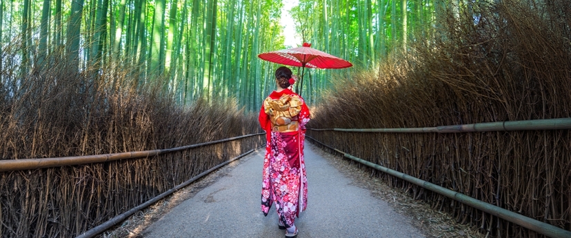 Kyoto Arashiyama Bamboo Forest, Monkey Park & Secrets 3
